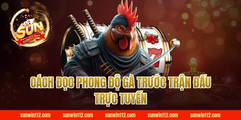 Cách Đọc Phong Độ Gà Trước Trận Đấu Trực Tuyến Tại Sunwin