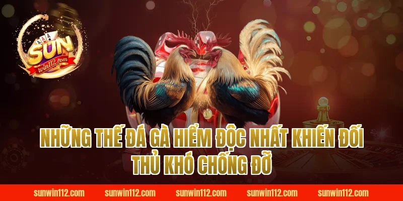 Những Thế Đá Gà Hiểm Độc Nhất Khiến Đối Thủ Khó Chống Đỡ Tại Sunwin