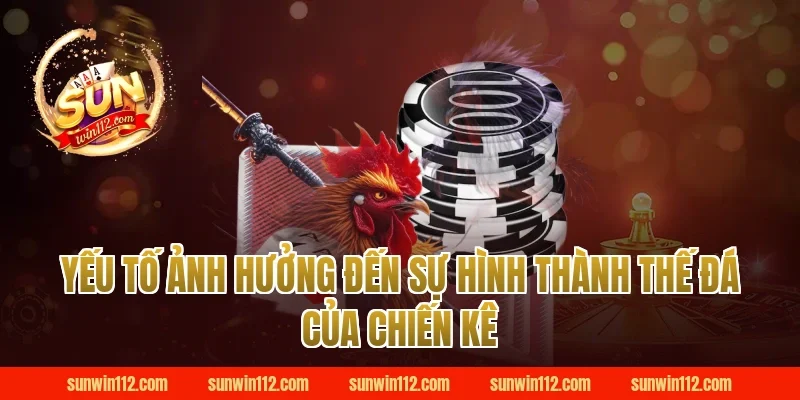 Yếu Tố Ảnh Hưởng Đến Sự Hình Thành Thế Đá Của Chiến Kê Tại Sunwin